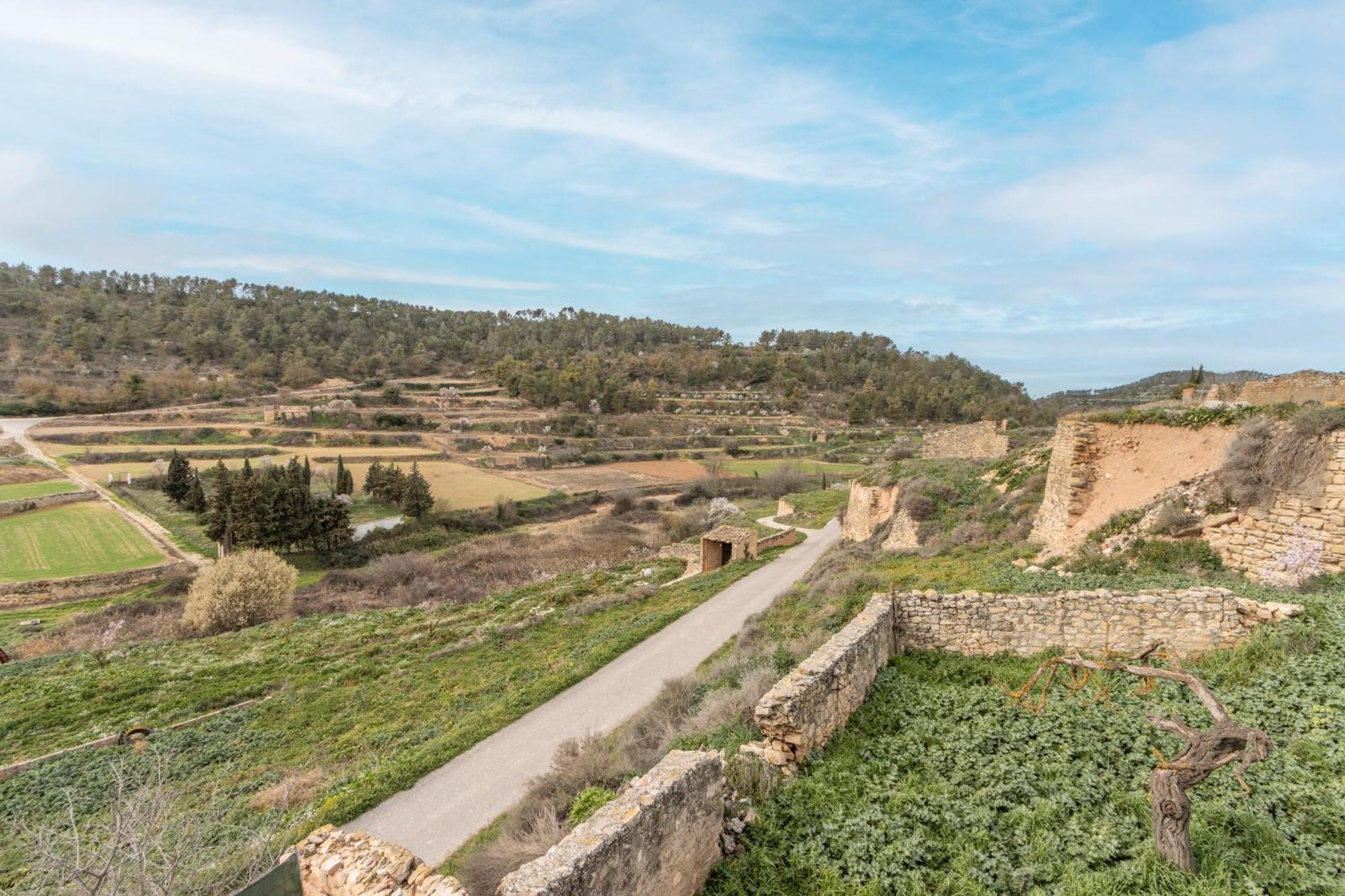 Els Omells de na Gaia Casanellas Ruralヴィラ エクステリア 写真